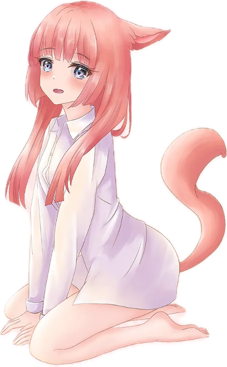 IMG_0137.png